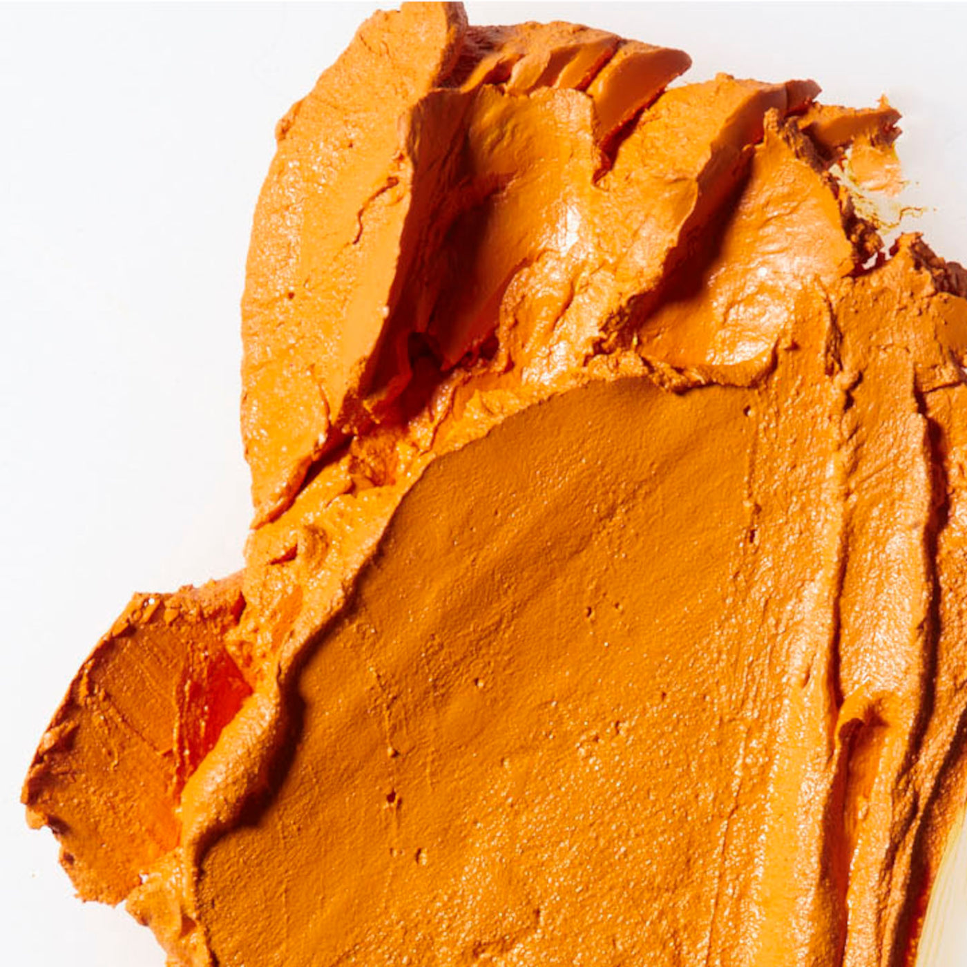 All-in-One Velvet Paint in Bridges